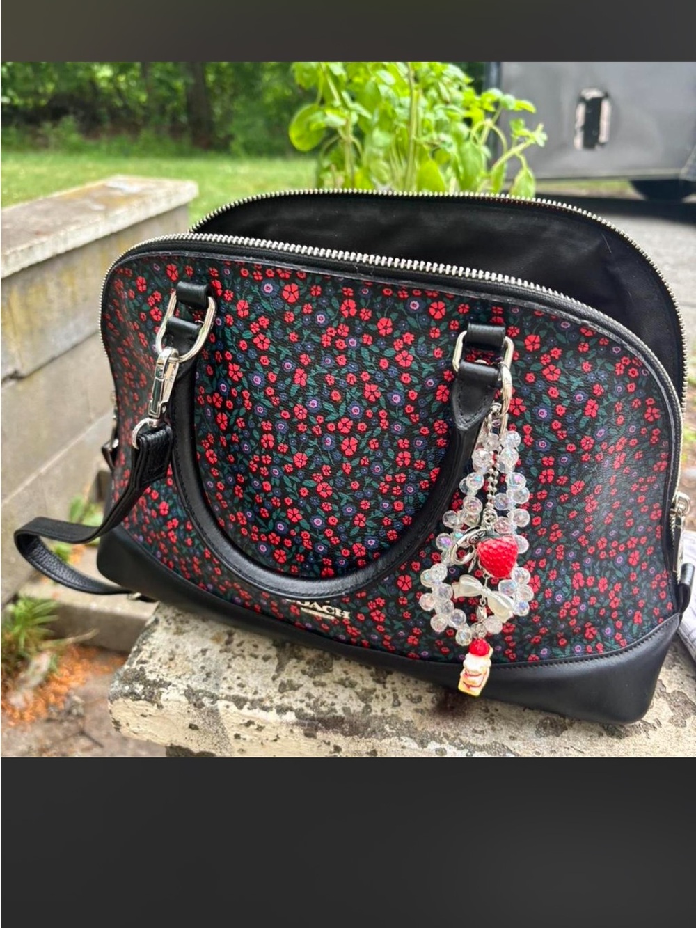 Black Floral Dome Satchel Handbag with Red Flower Print good condition tag scrat